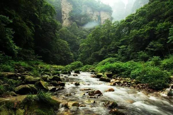 专业知识星球平台 - 极致学习体验 | 泡酸白菜的方法知识社区